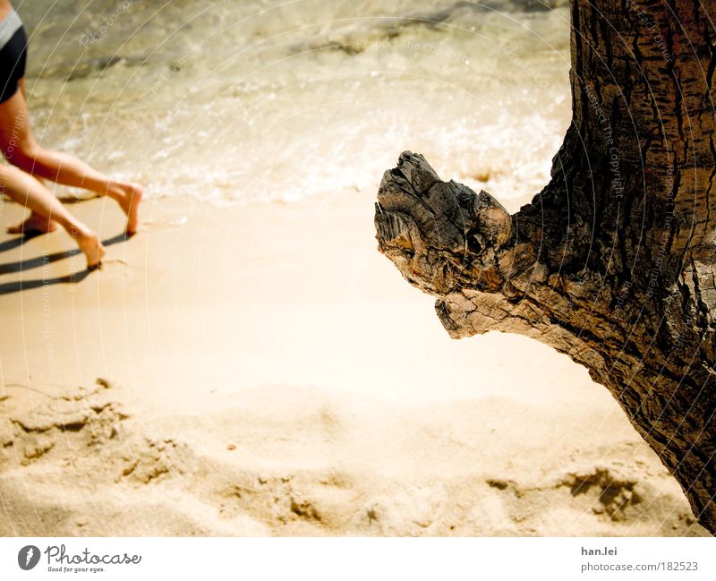 beach run Colour photo Subdued colour Exterior shot Day Shallow depth of field Joy Life Leisure and hobbies Vacation & Travel Tourism Summer Summer vacation