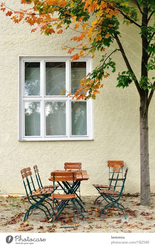 Autumn mood in the beer garden Colour photo Exterior shot Deserted Day Garden Nature Tree Foliage plant House (Residential Structure) Wall (barrier)