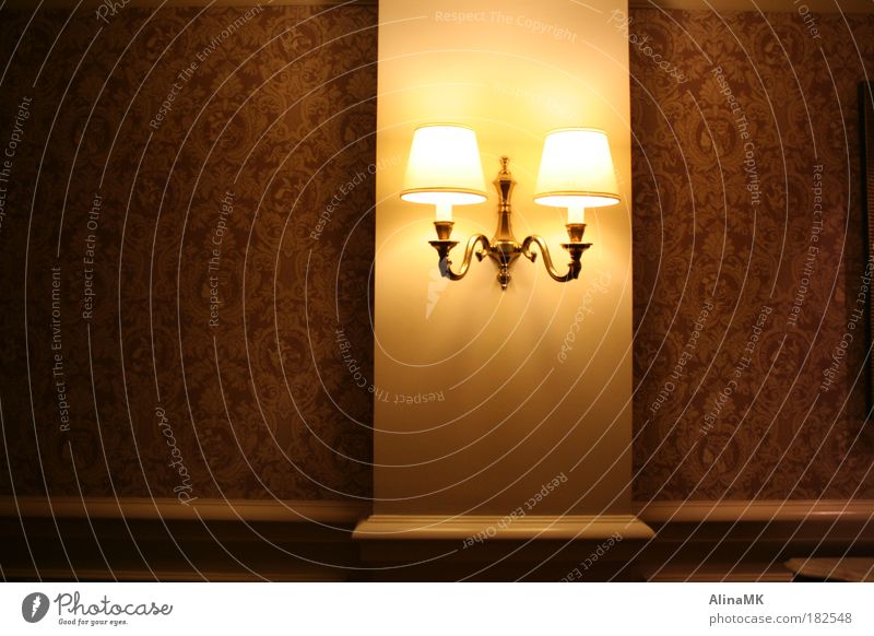 hotel corridor Lamp Wallpaper Wall (barrier) Wall (building) Living or residing Elegant Gold Pink Luxury Hallway Hotel Colour photo Interior shot