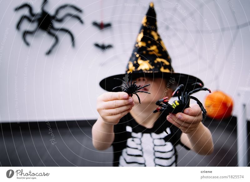 Toddler with halloween costume and spider toys at home Lifestyle Joy Playing House (Residential Structure) Decoration Hallowe'en Human being Boy (child) Infancy