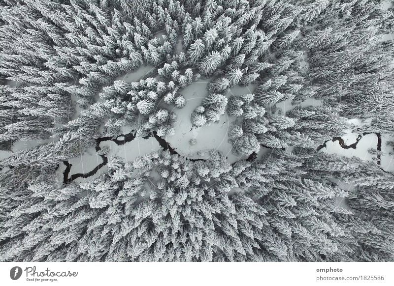 Aerial wiew of snowy pine trees and a little meandering stream Beautiful Snow Mountain Environment Nature Landscape Tree Park Forest Brook River