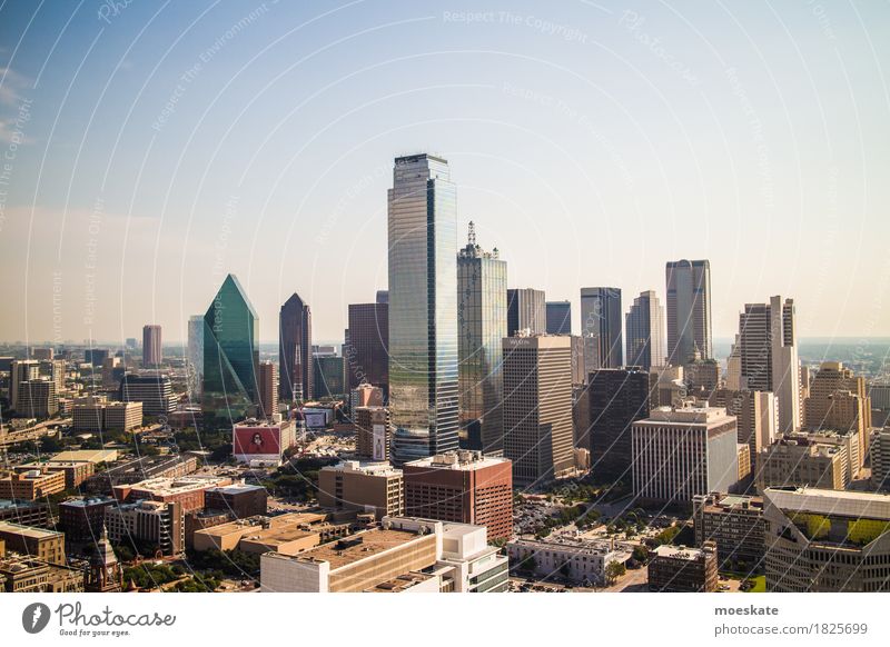 Dallas, Texas Skyline Blue Gray USA High-rise Lookout tower Bank building Colour photo Subdued colour Exterior shot Deserted Copy Space bottom Isolated Image