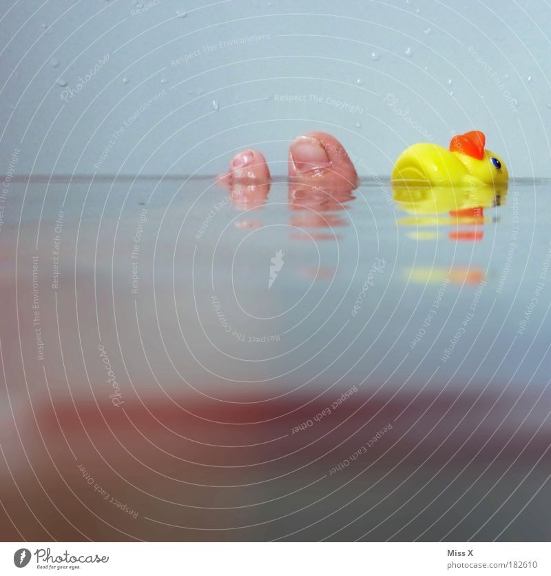 wrinkled toes Colour photo Multicoloured Interior shot Underwater photo Copy Space left Copy Space top Copy Space bottom Copy Space middle Day Reflection