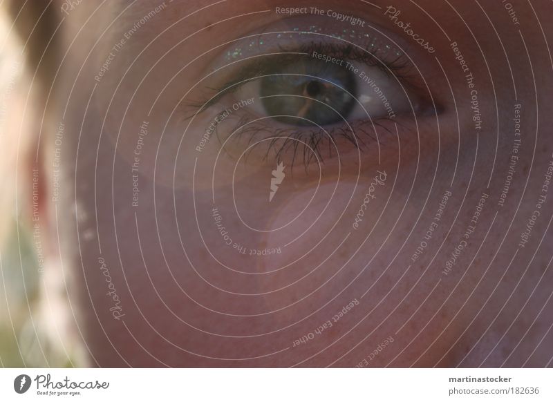 shine of the eyes Colour photo Exterior shot Close-up Day Sunlight Sunbeam Front view Looking into the camera Feminine Skin Head Hair and hairstyles Face Eyes