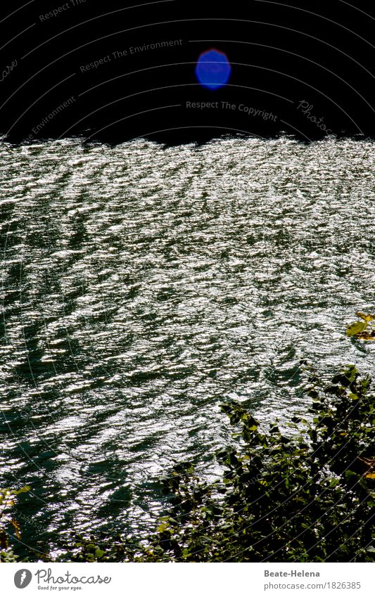 Water level-egg Hydroelectric  power plant Environment Nature Landscape Drops of water Sky Weather Beautiful weather Tree River bank Village Tourist Attraction