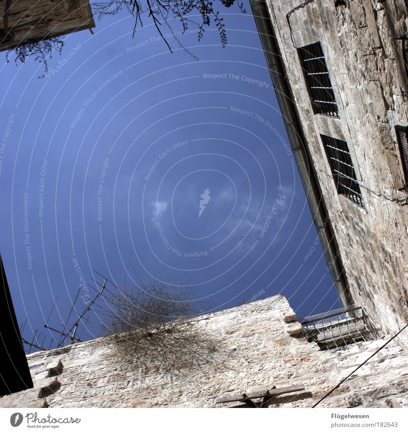 Courtyard with sky Colour photo Exterior shot Day Leisure and hobbies Living or residing Flat (apartment) House (Residential Structure) Environment Sky Observe