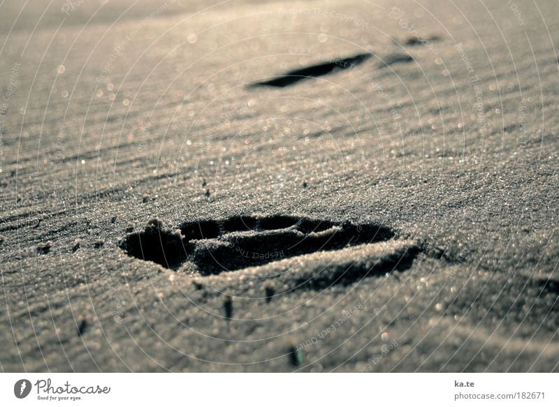 beach step Well-being Relaxation Beach Feet Sand Sunlight Beautiful weather Footprint Going Free Brown Calm Movement Far-off places Barefoot Subdued colour