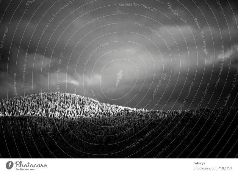 Before the curtain falls... Environment Nature Landscape Clouds Sunrise Sunset Winter Ice Frost Snow Tree Forest Hill Alps Mountain Peak Snowcapped peak Freeze