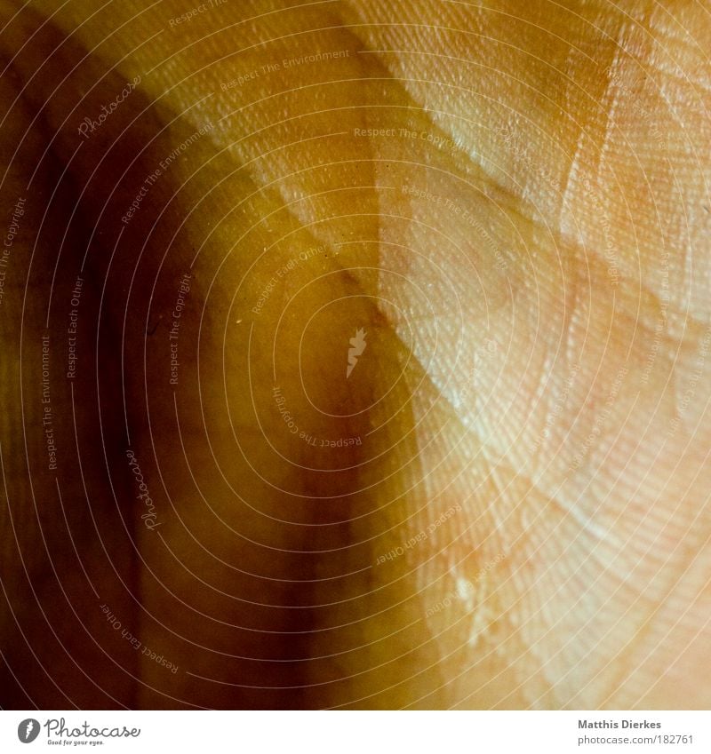 hand Hand Skin inner surface Line Life line Earmarked Crack & Rip & Tear Body Human being Close-up Macro (Extreme close-up) Brown White Shadow Sun Light