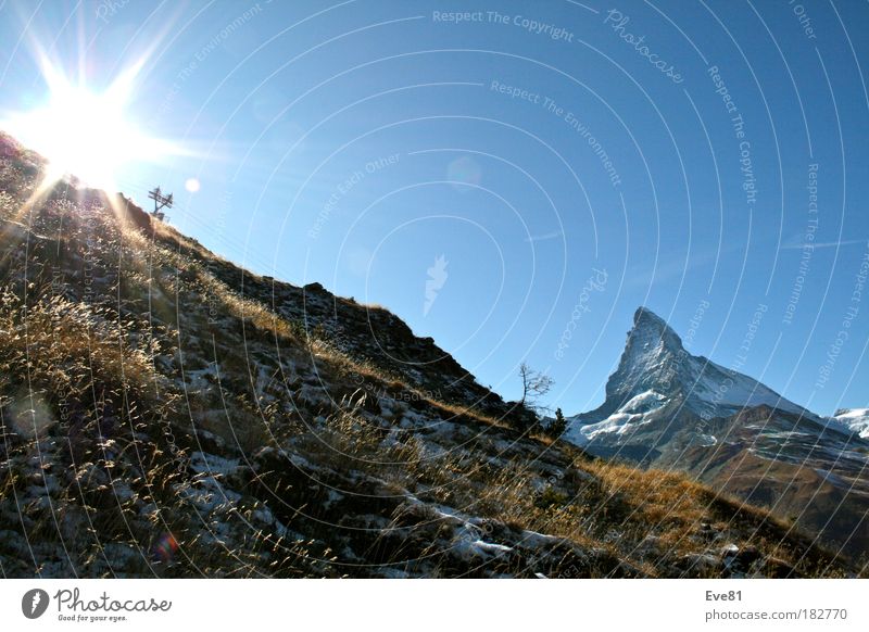 Matterhorn vs. sun Colour photo Day Sunlight Sunbeam Harmonious Vacation & Travel Tourism Trip Freedom Mountain Nature Landscape Autumn Beautiful weather Tree