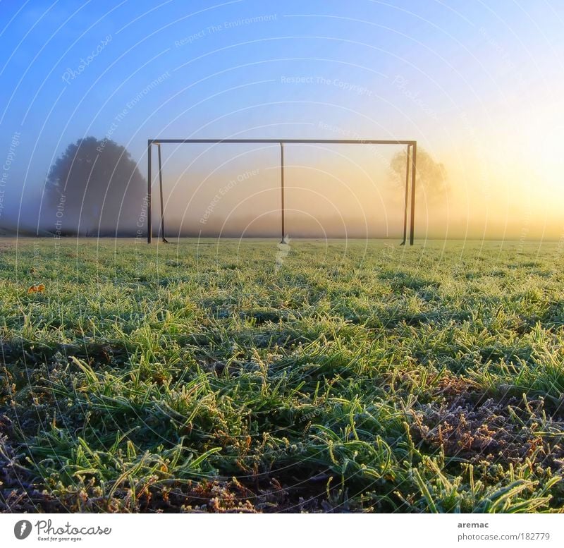 frost ball Colour photo Multicoloured Exterior shot Deserted Copy Space top Morning Light Silhouette Sunlight Sunbeam Sunrise Sunset Back-light Worm's-eye view