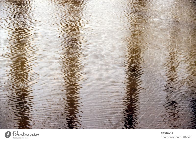 Spreewald Tree Waves Reflection Water River