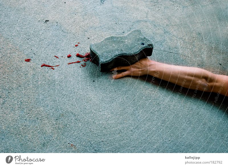 stones Colour photo Subdued colour Interior shot Detail Copy Space left Copy Space top Copy Space bottom Neutral Background Day Light Shadow Contrast