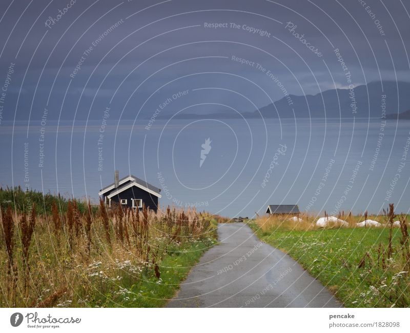 and on every new day Water Sky Autumn Fog Coast Fjord House (Residential Structure) Hut Emotions Moody Joie de vivre (Vitality) Norway Vacation in Norway