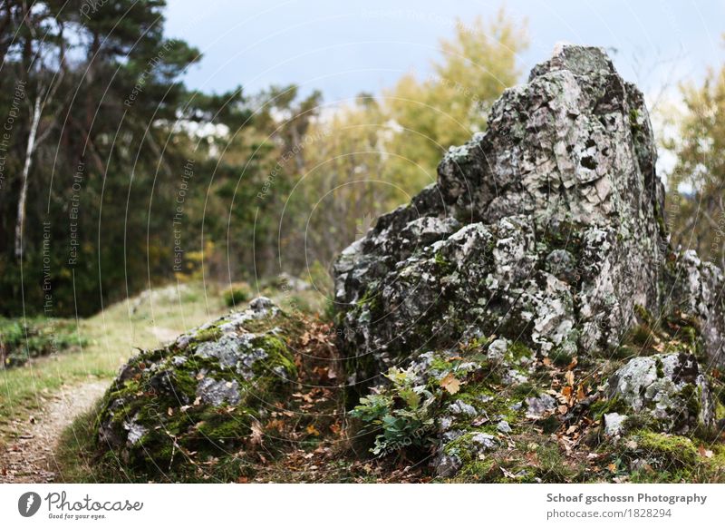 Stony path at the pole Athletic Harmonious Well-being Relaxation Leisure and hobbies Hiking Vacation & Travel Tourism Trip Adventure Freedom Summer Nature