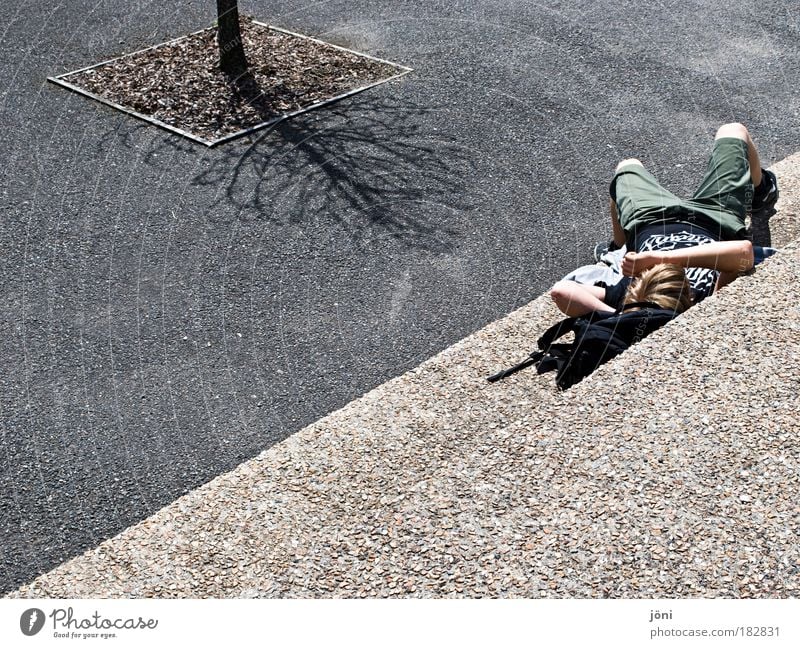 In the shade of the tree? Colour photo Exterior shot Copy Space right Copy Space bottom Day Light Shadow Contrast Silhouette Sunlight Sunbeam Bird's-eye view