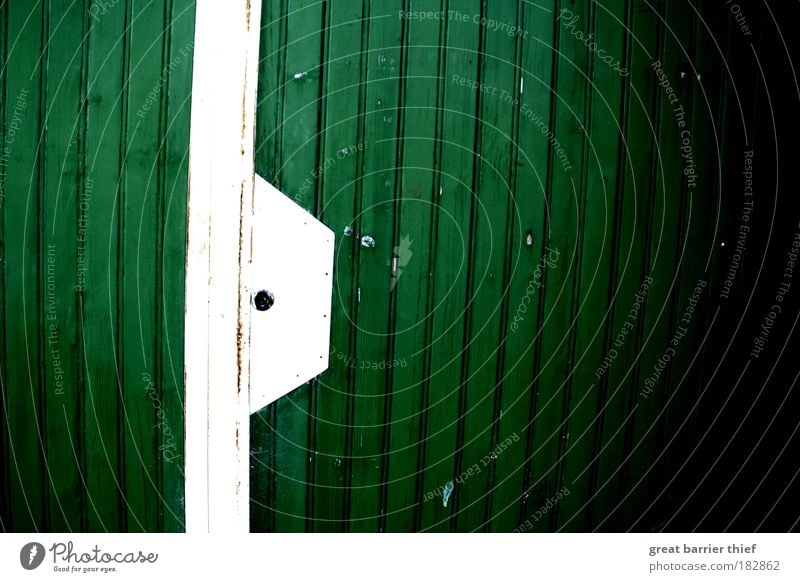 Green-white Colour photo Exterior shot Close-up Pattern Structures and shapes Deserted Day Contrast Wood Clean White Wall (building) Garage Lock Line Gate