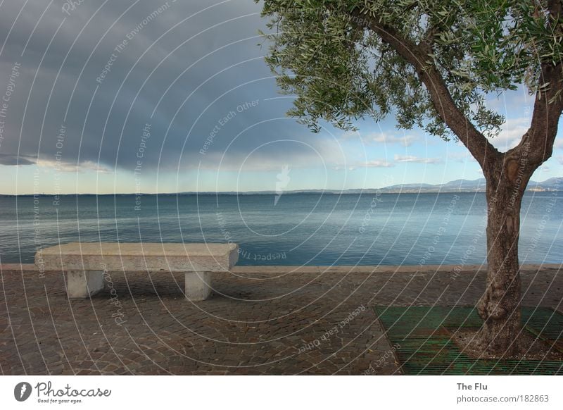 Lake Garda promenade during a thunderstorm Senses Calm Vacation & Travel Tourism Summer Nature Landscape Water Sky Clouds Storm clouds Climate change Weather