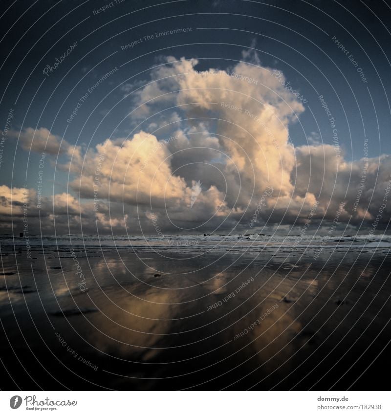 mushroom Colour photo Subdued colour Exterior shot Deserted Dawn Shadow Contrast Reflection Long shot Wide angle Nature Landscape Water Clouds Waves Coast