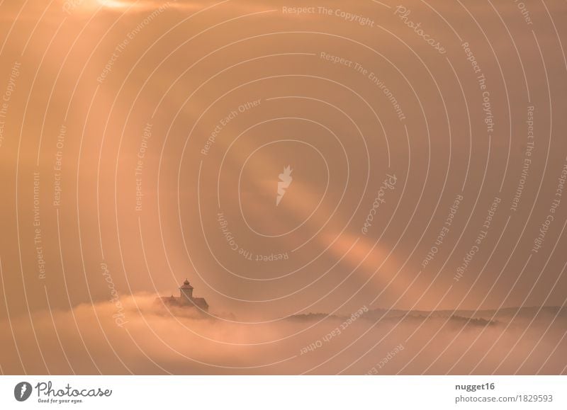 The Wachsenburg in the morning fog Environment Nature Landscape Sky Clouds Sunlight Autumn Fog Hill Mountain wachsenburg three equals Thuringia Castle Ruin