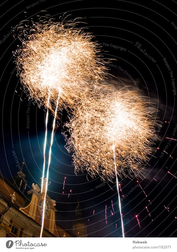 fireworks Colour photo Multicoloured Exterior shot Deserted Evening Twilight Night Light Contrast Light (Natural Phenomenon) Long exposure Half-profile