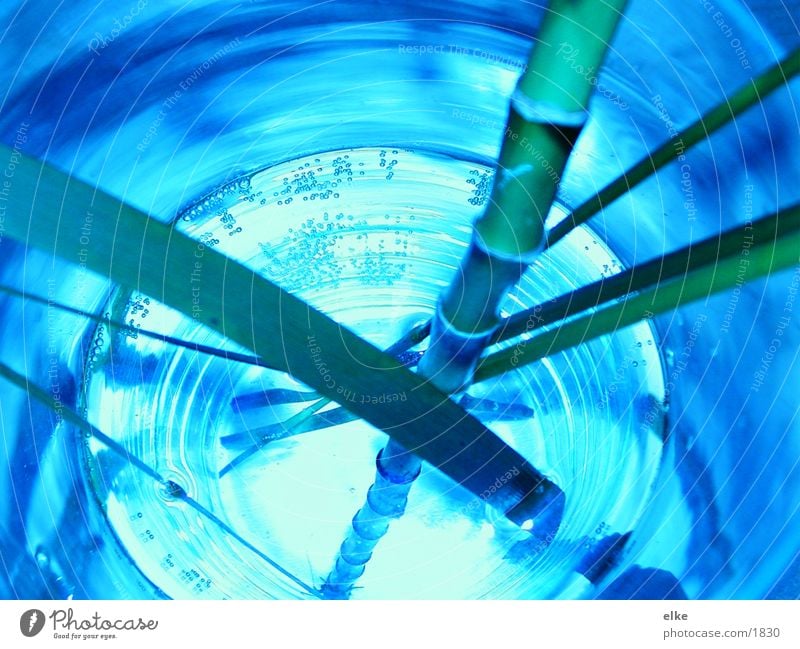 bamboo blue-green Plant Green Bamboo stick Blue Water Glass