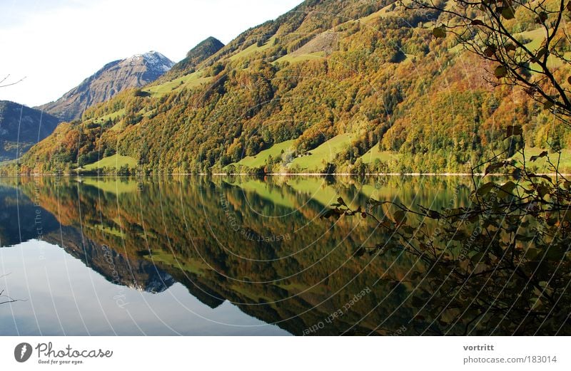 Operation Artichoke Colour photo Exterior shot Pattern Reflection Sunlight Panorama (View) Wide angle Nature Landscape Water Autumn Tree Forest Hill Mountain