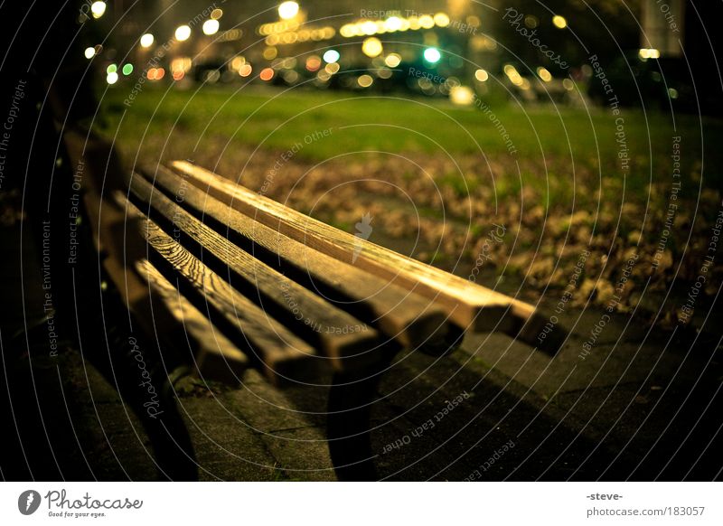 autumn evening Park Dark Brown Green Bench Park bench Autumn Autumn leaves Leaf Gold Colour photo Exterior shot Evening Twilight Shadow Blur