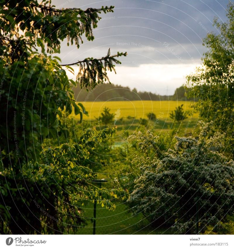 Sunshine after rain. Colour photo Multicoloured Exterior shot Detail Deserted Day Evening Deep depth of field Panorama (View) Environment Nature Landscape Sky