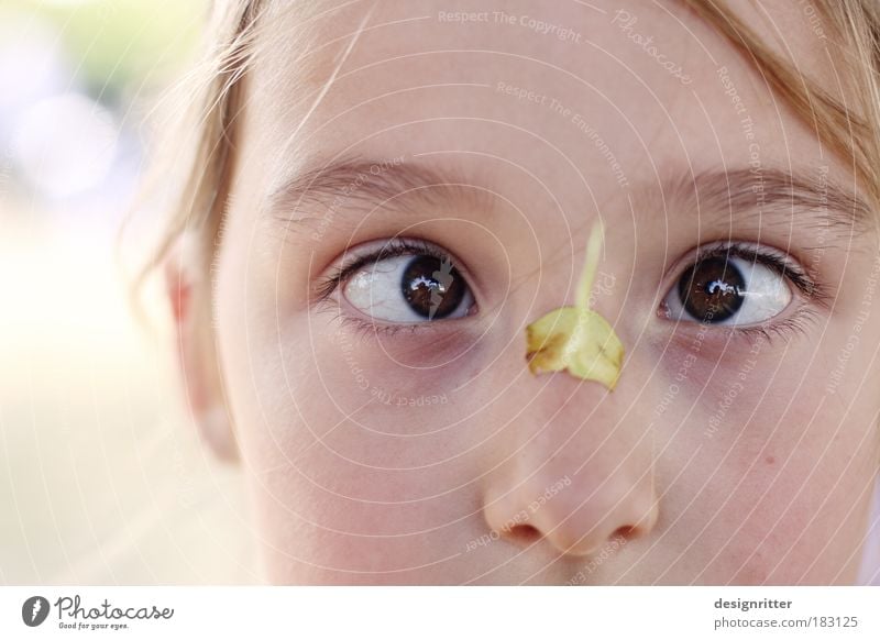 autumn fruit Colour photo Subdued colour Exterior shot Close-up Detail Copy Space left Light Back-light High-key Portrait photograph Squint Child Girl Infancy