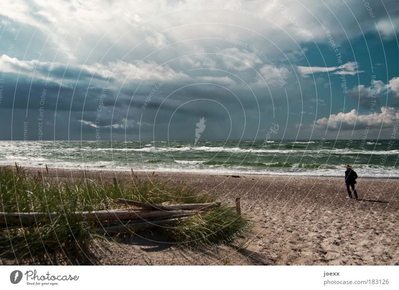 Against the wind Colour photo Subdued colour Exterior shot Copy Space top Day Sunbeam Vacation & Travel Beach Ocean Waves Human being Woman Adults Nature