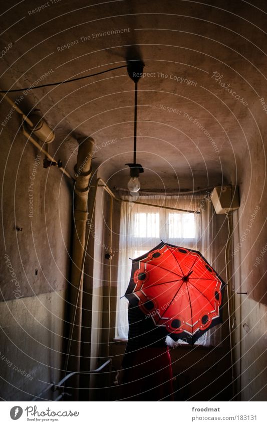 red dot Colour photo Subdued colour Multicoloured Interior shot Copy Space top Day Rear view Forward Looking away Human being Back Ruin Umbrella Dream Poverty