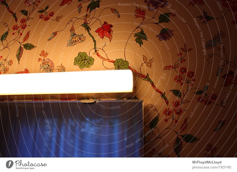 bathroom blues Colour photo Interior shot Pattern Structures and shapes Deserted Copy Space right Copy Space top Artificial light Reflection Living or residing