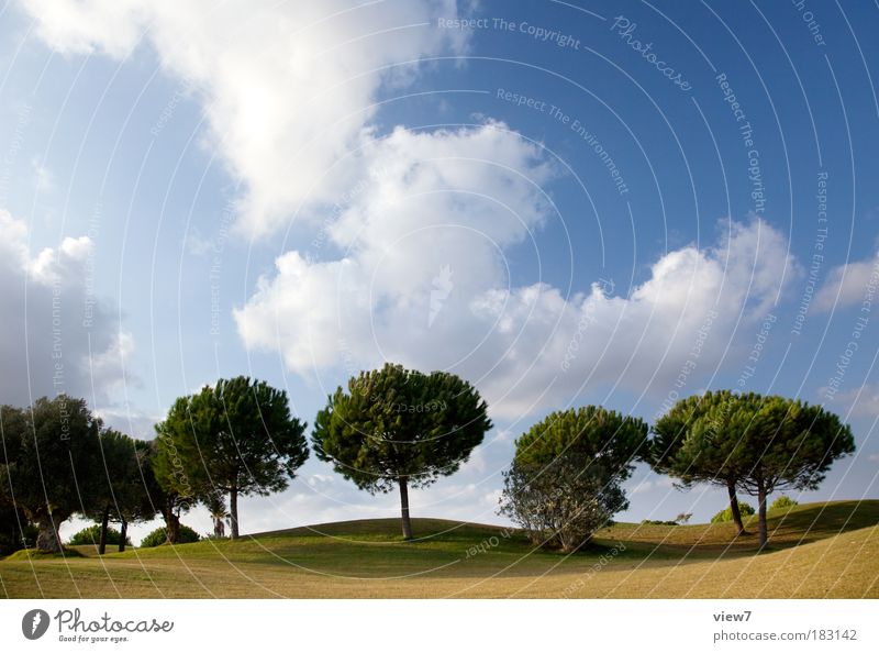 array Colour photo Exterior shot Deserted Copy Space top Light Shadow Deep depth of field Panorama (View) Wide angle Environment Nature Landscape Sun Summer