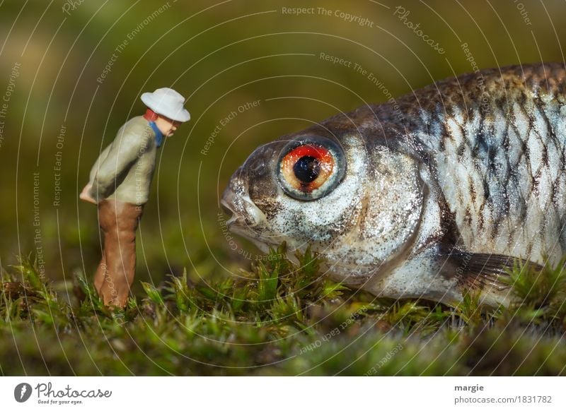 Miniwelten - monotonous entertainment Fish Organic produce Human being Masculine Man Adults 1 Animal Farm animal Wild animal Animal face Brown Green Moss