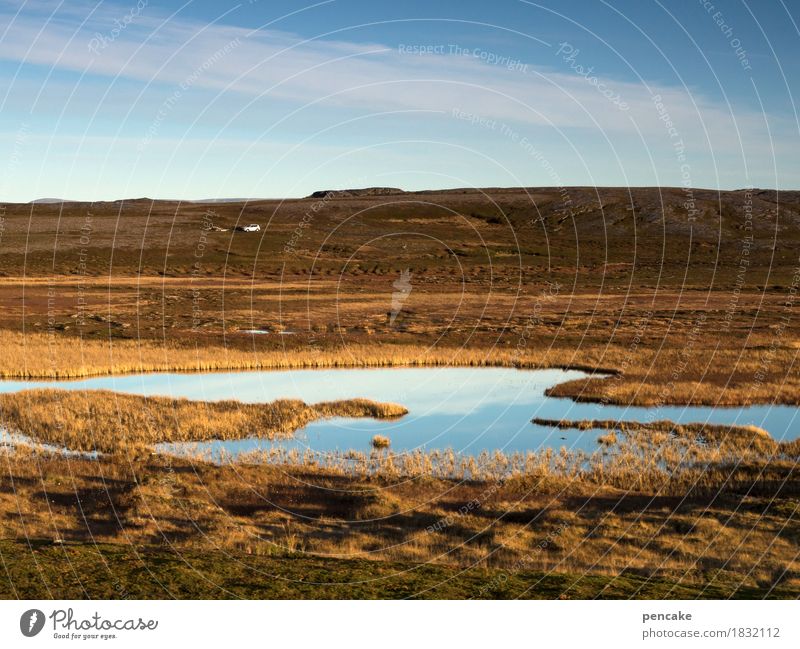 we are not alone Nature Landscape Elements Earth Water Sky Autumn Beautiful weather Car Life Dream Norway Fjeld White Autumnal colours Nordic Colour photo