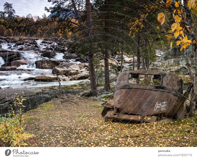 from resting and rusting Art Sculpture Nature Landscape Elements Water Autumn Forest River Waterfall Vehicle Car Vintage car Historic Naked Retro Trashy Idyll