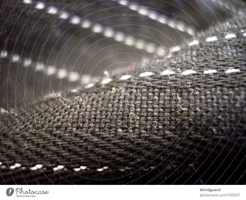 Rivets in pinstripes Colour photo Exterior shot Close-up Detail Macro (Extreme close-up) Deserted Day Shallow depth of field Clothing Pants Gray Black White