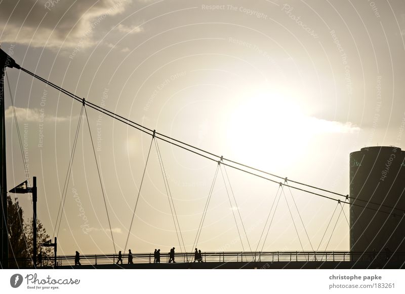 the bridge Subdued colour Exterior shot Copy Space right Copy Space top Dawn Evening Twilight Contrast Silhouette Sunrise Sunset Back-light Central perspective