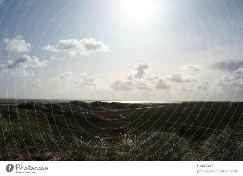 dune landscape Colour photo Exterior shot Deserted Morning Sunbeam Back-light Long shot Nature Earth Sky Clouds Sunlight Beautiful weather Grass Hill Coast