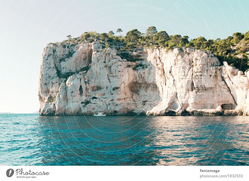 calanques Environment Nature Landscape Elements Water Cloudless sky Sun Beautiful weather Tree Waves Coast Ocean Swimming & Bathing Calanque d'en Vau Marseille