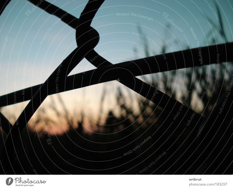 Tempelhof behind bars Colour photo Exterior shot Close-up Deserted Evening Twilight Contrast Silhouette Shallow depth of field Worm's-eye view Sunrise Sunset