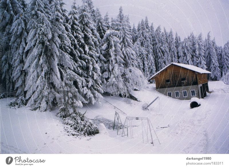 winter dream Colour photo Exterior shot Deserted Evening Looking into the camera Landscape Winter Snow Forest Village House (Residential Structure) Esthetic