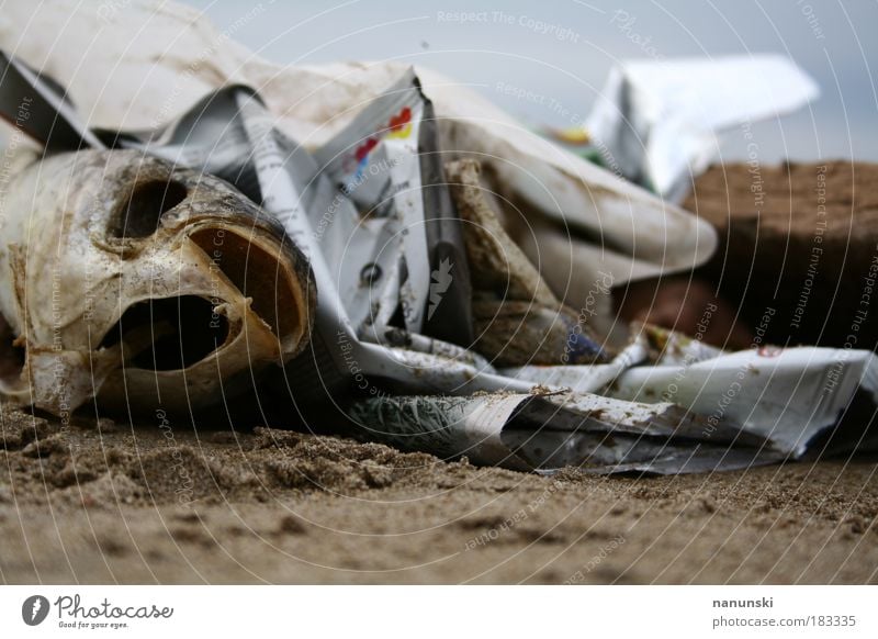 fischbone Colour photo Exterior shot Detail Deserted Day Shallow depth of field Worm's-eye view Food Fish Seafood Nutrition Sushi Environment Nature Sand Water