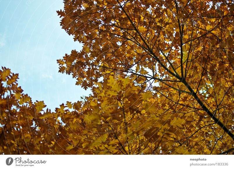 complementary colors Colour photo Subdued colour Exterior shot Deserted Copy Space left Copy Space top Day Contrast Back-light Deep depth of field