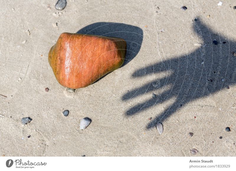 hand shadow stone Life Vacation & Travel Summer Summer vacation Beach Hand Fingers Nature Sand Beautiful weather Stone Touch Simple Wet Orange Anticipation