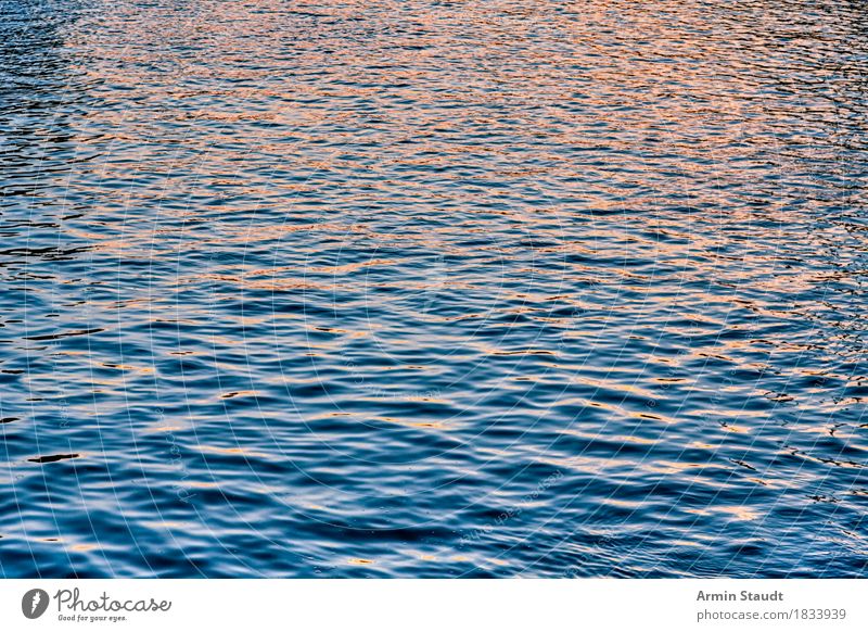 water background Environment Nature Landscape Elements Water Spring Summer Autumn Beautiful weather Waves Ocean Lake River Esthetic Fluid Glittering Wet