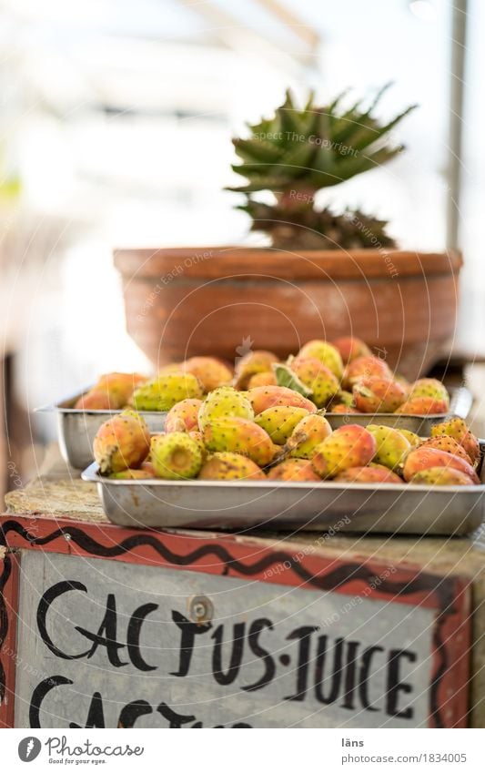 Cactus Juice Cactus fig Vacation & Travel Tourism Exotic cactus juice Colour photo Exterior shot Deserted Copy Space top Sunlight Shallow depth of field