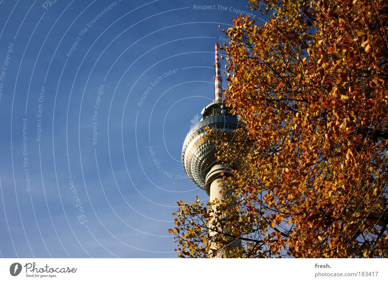 Big city "jungle" Exterior shot Deserted Copy Space left Day Sunlight Worm's-eye view Capital city Tourist Attraction Original Berlin TV Tower Downtown Berlin