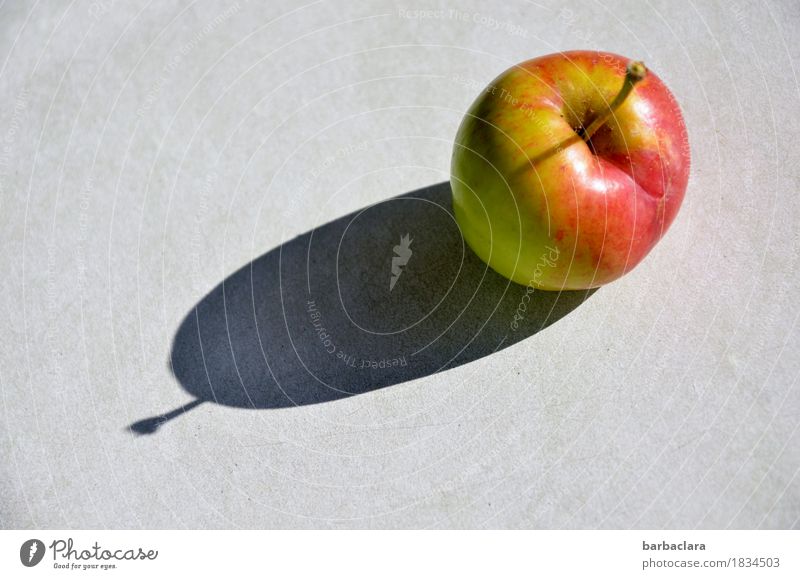 Apple and its shadow Fruit Garden Table Lie Fresh Delicious Round Juicy Yellow Red Esthetic Healthy Nature Colour photo Exterior shot Pattern